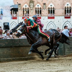 palio 2022-17